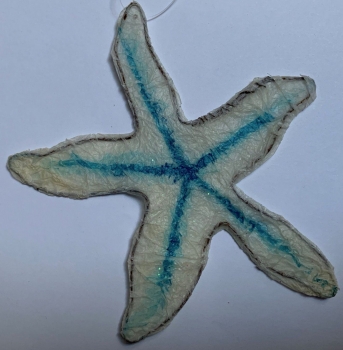 Krepp-Seestern weiss-blau